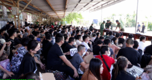 Các bên tham gia vào việc trao trả