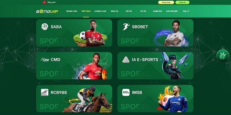 Thể thao Bongvip – Nền tảng cá cược trực tuyến được ưa chuộng